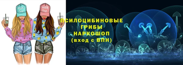 гашик Михайловск